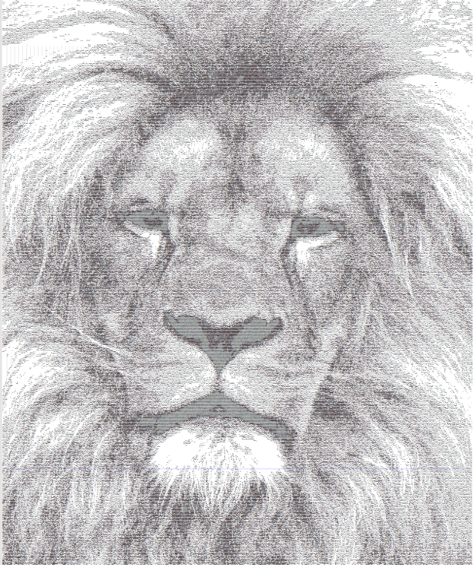 Lion en Ascii